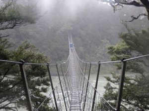 P5252026
